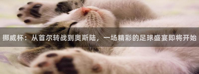 意昂4注册地址：挪威杯：从首尔转战到奥斯陆，一场精彩的足球盛