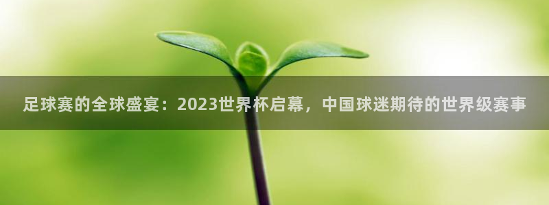 意昂4：足球赛的全球盛宴：2023世界杯启幕，中国球迷期待的