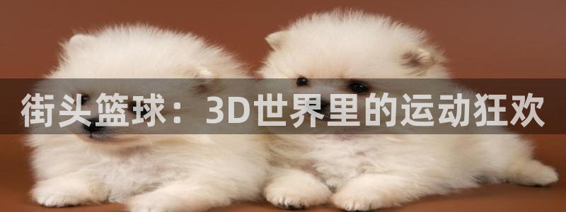 意昂4登录平台：街头篮球：3D世界里的运动狂欢