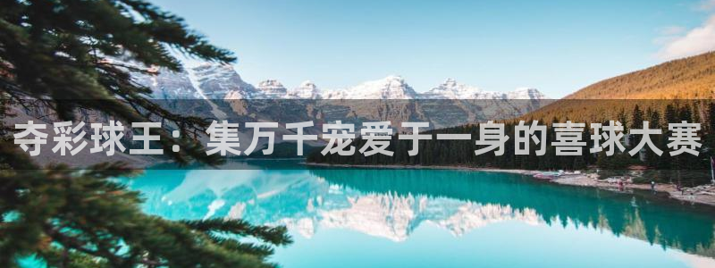 意昂4：夺彩球王：集万千宠爱于一身的喜球大赛