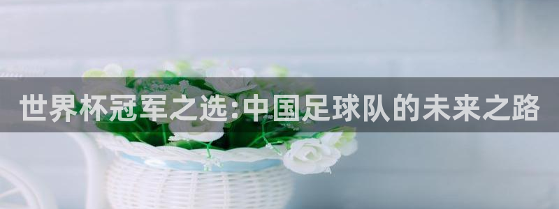意昂4平台登录：世界杯冠军之选:中国足球队的未来之路