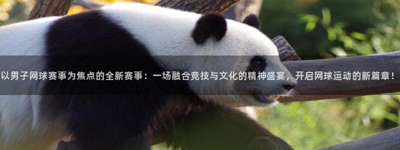 意昂4代理：以男子网球赛事为焦点的全新赛事：一场融合竞技与文