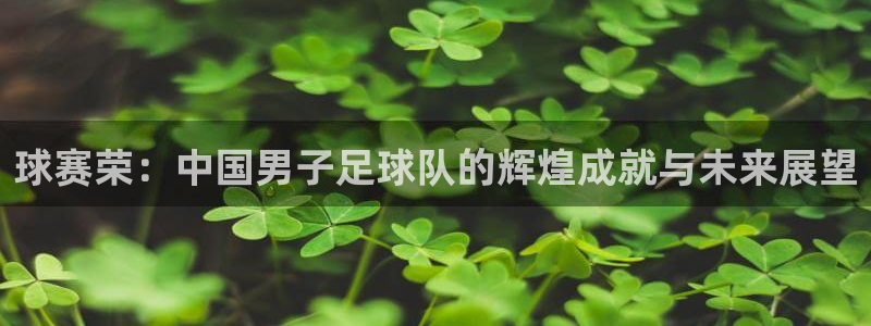 意昂4官网入口：球赛荣：中国男子足球队的辉煌成就与未来展望