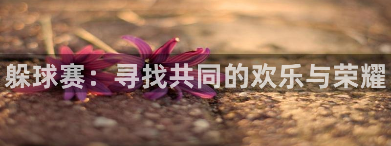 意昂4主管：躲球赛：寻找共同的欢乐与荣耀