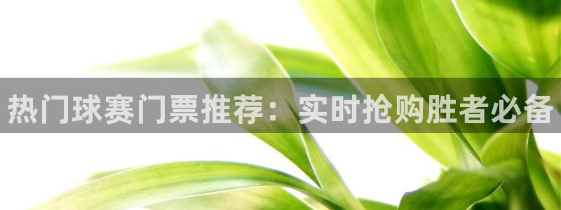 意昂4登录：热门球赛门票推荐：实时抢购胜者必备