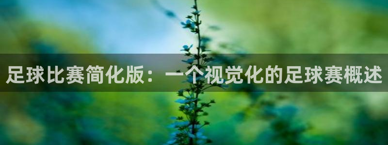 意昂4登陆：足球比赛简化版：一个视觉化的足球赛概述