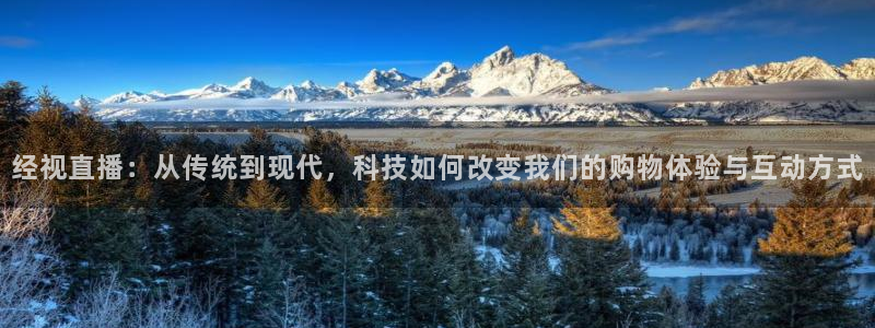 绿茵足球官网：经视直播：从传统到现代，科技如何改变我们的购物体验与互动方式