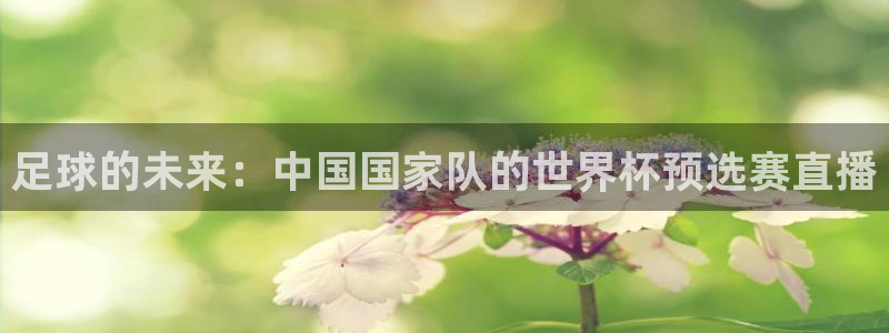 nba绿茵直播：足球的未来：中国国家队的世界杯预选赛直播