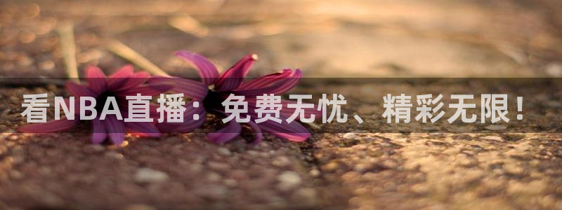 绿茵篮球直播在线观看：看NBA直播：免费无忧、精彩无限！