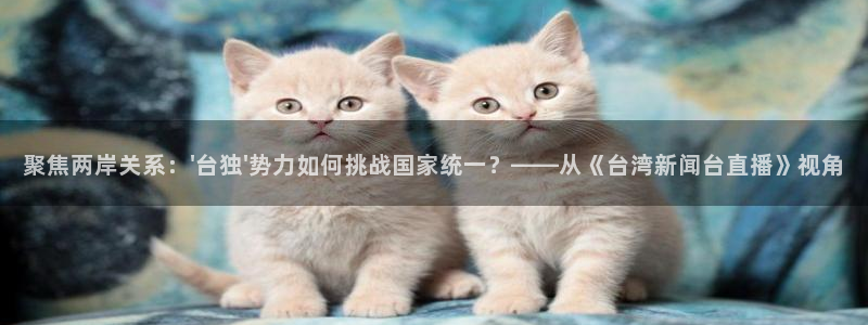 绿茵直播足球直播网：聚焦两岸关系：\'台独\'势力如何挑战国家统一？——从《台湾新闻台直播》视角