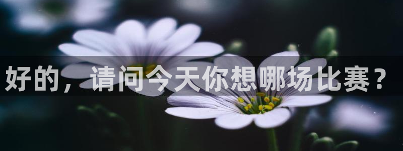 绿茵体育频道在线直播：好的，请问今天你想哪场比赛？