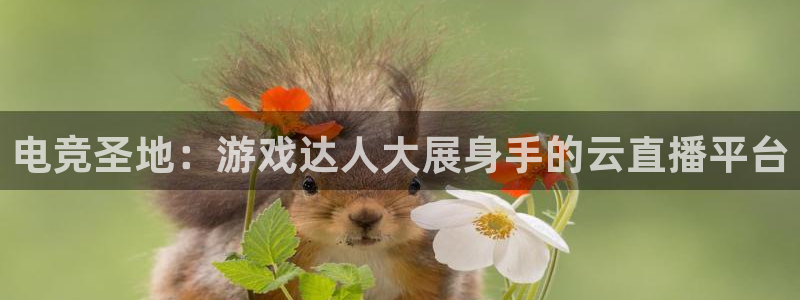 绿茵吧足球网：电竞圣地：游戏达人大展身手的云直播平台