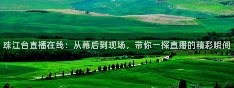 绿茵体育在线观看：珠江台直播在线：从幕后到现场，带你一探直播的精彩瞬间
